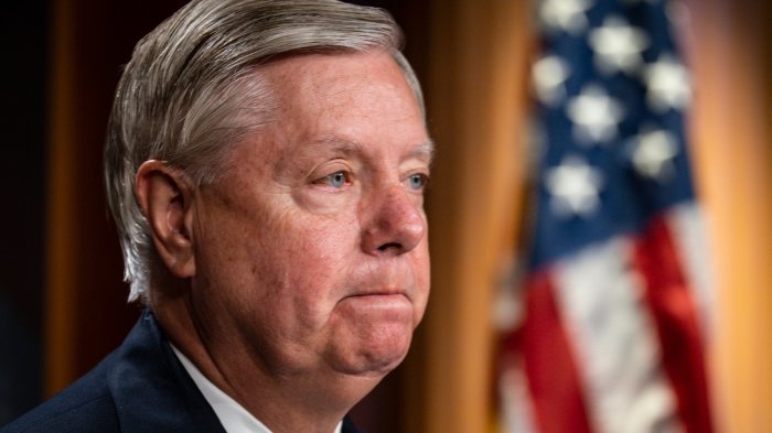 Federal appeals court delays sen lindsey grahams testimony in georgia election probe