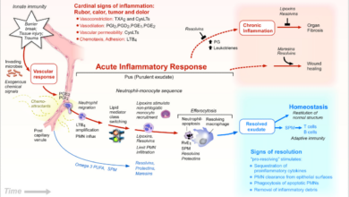 Critics challenge data showing key lipids can curb inflammation