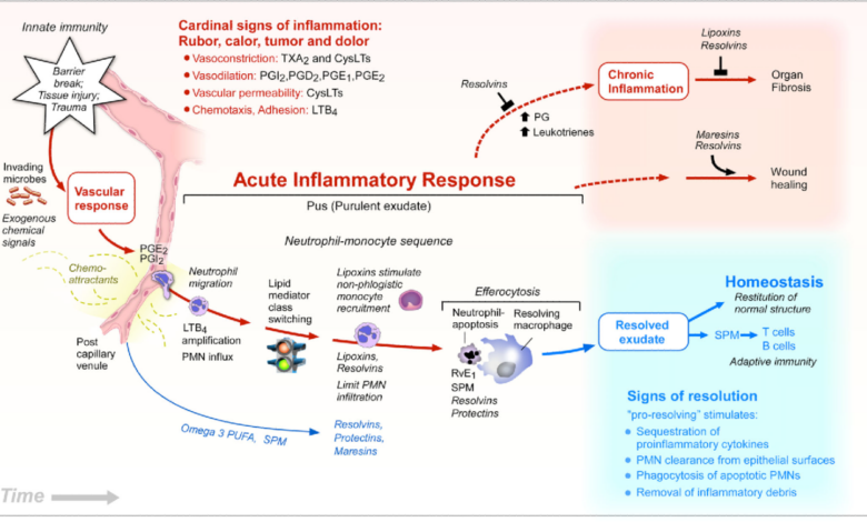 Critics challenge data showing key lipids can curb inflammation