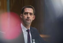 Tom cotton falsely claims mary peltolas win over sarah palin was rigged