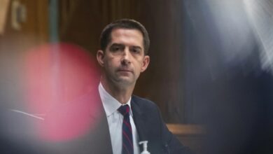 Tom cotton falsely claims mary peltolas win over sarah palin was rigged