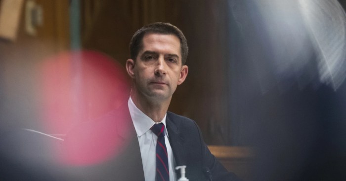 Tom cotton falsely claims mary peltolas win over sarah palin was rigged