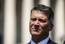 Election rigged horror debunking story video voter conservative stealing fraud donald shtick fearmongering trump years