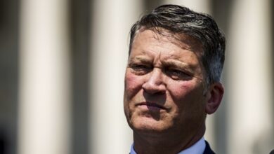 Election rigged horror debunking story video voter conservative stealing fraud donald shtick fearmongering trump years