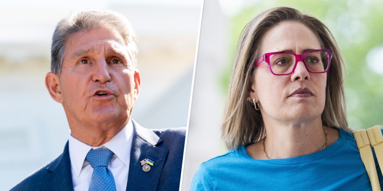 Sens joe manchin kyrsten sinema and mark kelly tank pro worker labor nominee