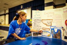 Project learning based artful thinking pbl ctl authentic model graphic teaching component central behance