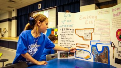 Project learning based artful thinking pbl ctl authentic model graphic teaching component central behance