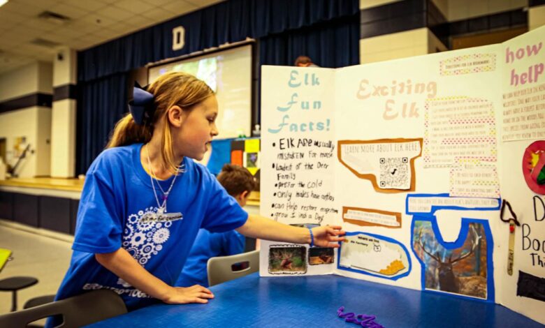 Project learning based artful thinking pbl ctl authentic model graphic teaching component central behance