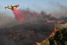 New drones could spot wildfires earlier even help snuff them out