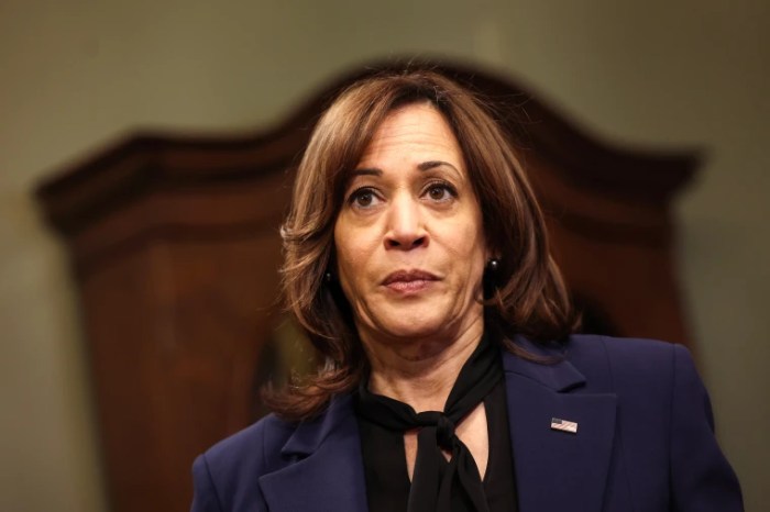 Kamala harris ripped for latest word salad lets come together with the character that we are so proud of about who we are