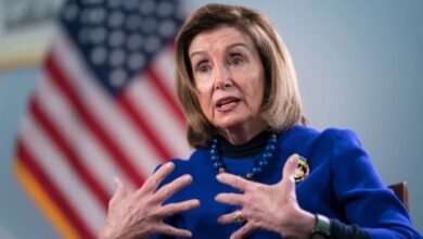 Trading app goes viral thanks to nancy pelosi lookalike at ufc match invest like a politician