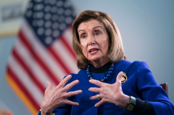 Trading app goes viral thanks to nancy pelosi lookalike at ufc match invest like a politician