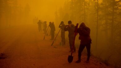 Biden says u s has reason to believe russia has decided to invade ukraine