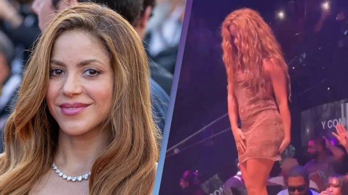 Shakira leaves stage at miami club after noticing fan filming up her skirt