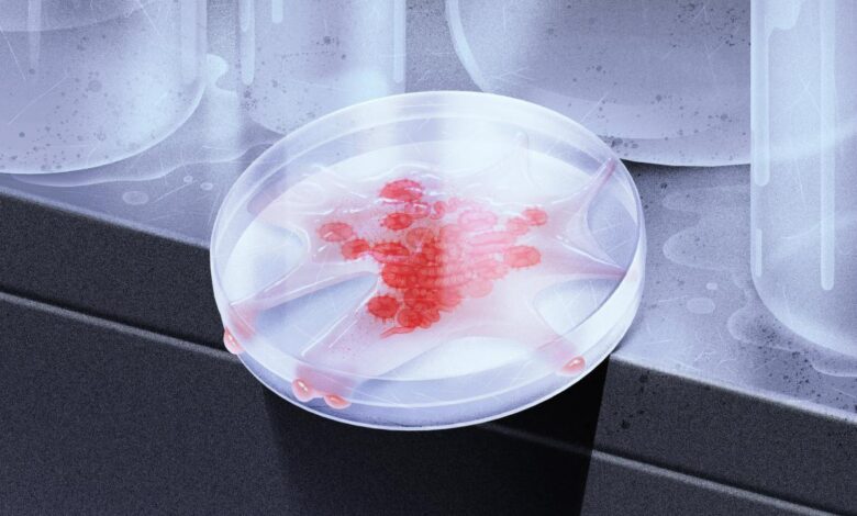 The lab leak hypothesis made it harder for scientists to seek the truth