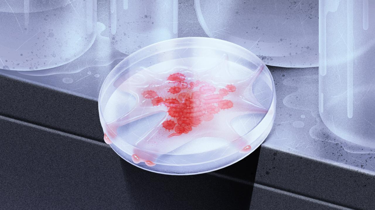 The lab leak hypothesis made it harder for scientists to seek the truth