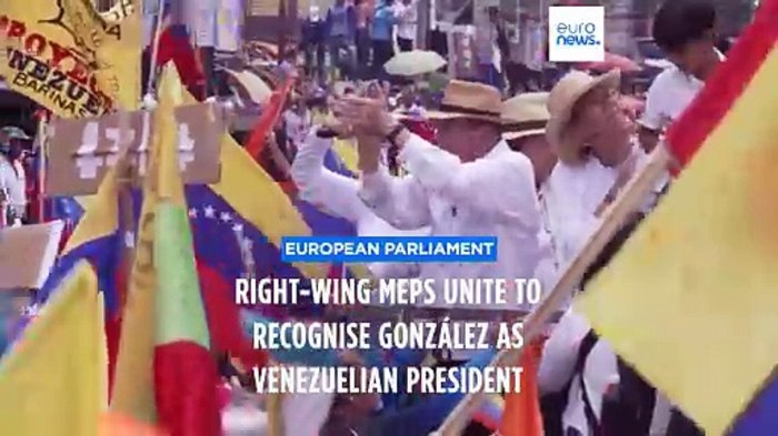 Right wing meps unite to recognise gonzalez as venezuelan president