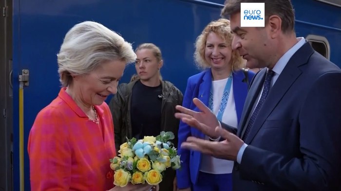 Von der leyen arrives in kyiv promising ukraine electricity funds