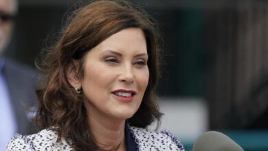 Michigan gov gretchen whitmer kidnapping aimed at stopping biden win and being