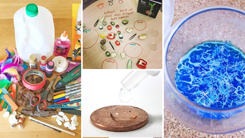 35 first grade science projects to pique everyones interest