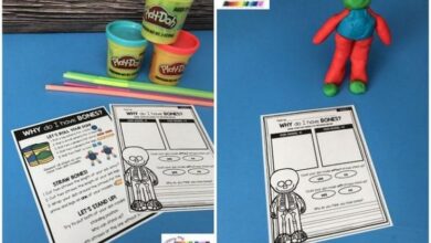 35 first grade science projects to pique everyones interest