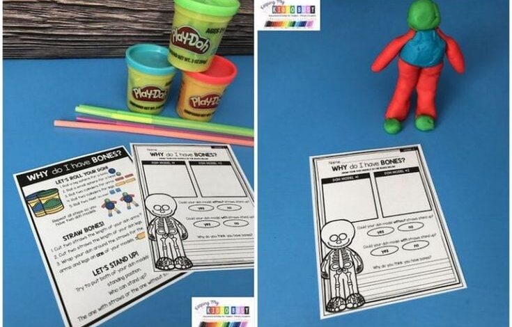 35 first grade science projects to pique everyones interest