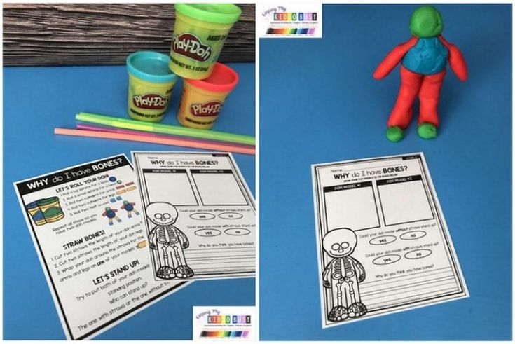 35 first grade science projects to pique everyones interest