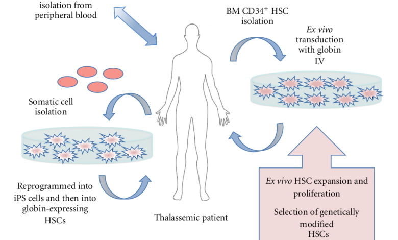 Gene therapy trial shows early success in people with haemophilia b