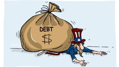 Debt and the global economic crisis of 19979899