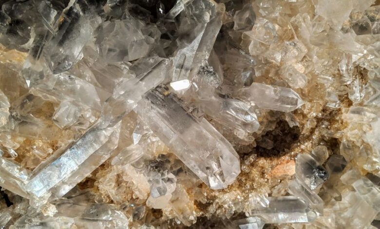 Dna stored on crystal could bring back humanity billions of years after extinction