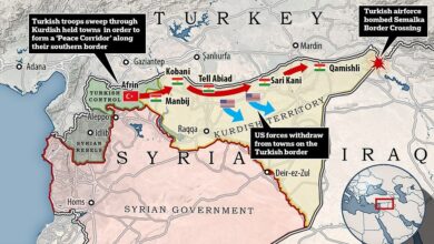 Who really loses if turkey invades northeast syria