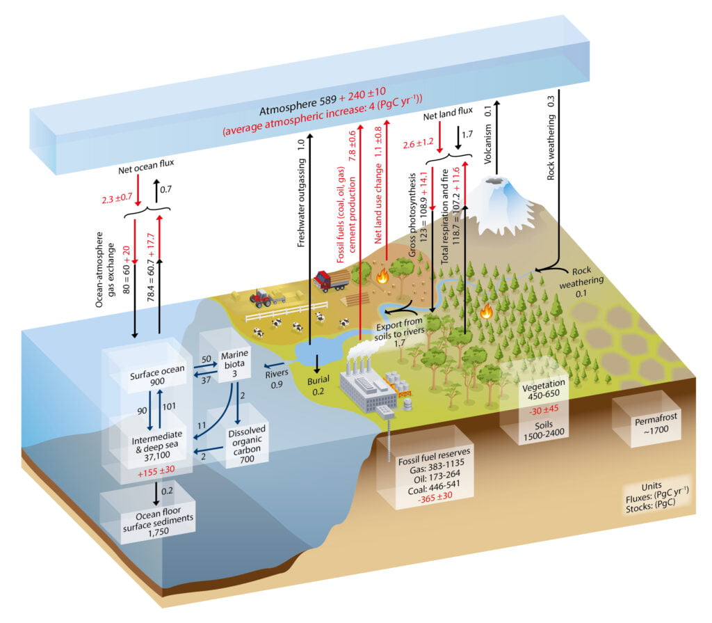 We can now tell how much co2 in the air is due to fossil fuel burning