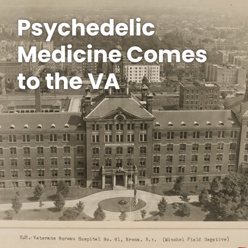 After six decade hiatus experimental psychedelic therapy returns to the v a