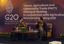 Mars overhauls cocoa sustainability program to focus squarely on farmer income