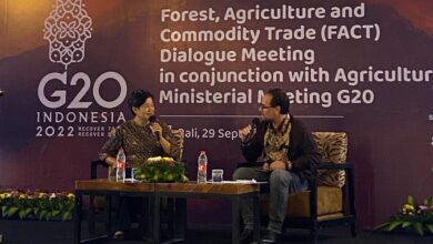 Mars overhauls cocoa sustainability program to focus squarely on farmer income