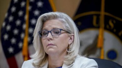 Liz cheney embraces her role in the jan 6 inquiry in a closing campaign ad