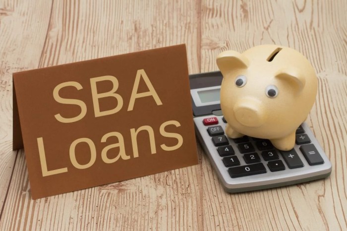 What is an sba loan everything you need to know