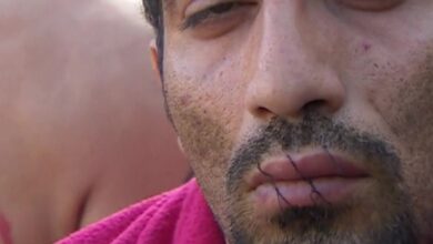 Immigrants culture deportation immigration undocumented groups fight activist