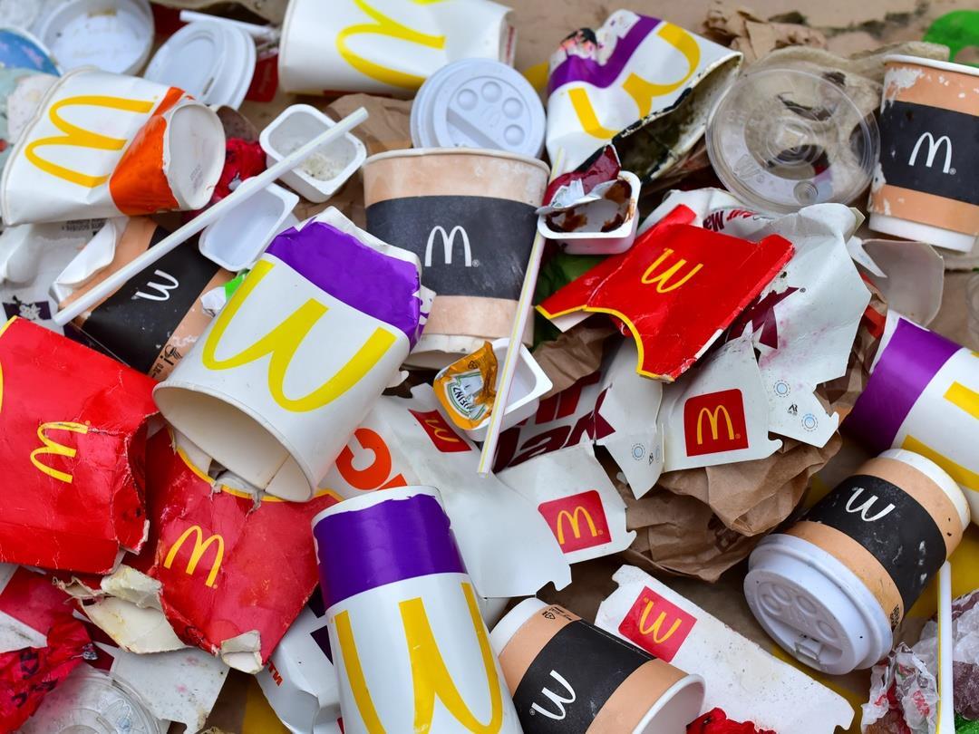 Mcdonalds shareholders to vote on proxy fight with carl icahn over animal welfare practices