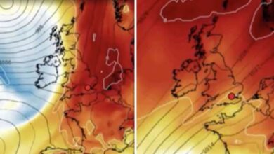 This summer had the uks coolest weather for almost ten years