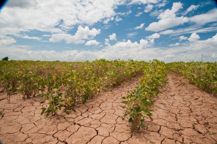 Fresh take droughts toll on farmers food at cop27 and why direct to consumer is nowhere near over