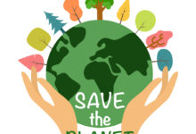 Seth godins 5 tips for how your business can help save the planet