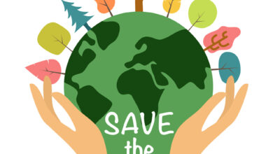 Seth godins 5 tips for how your business can help save the planet