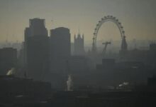 Air pollution likely to be causing dementia say uk science advisers