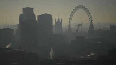 Air pollution likely to be causing dementia say uk science advisers