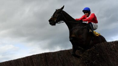 Can anyone stop allaho in the ryanair chase