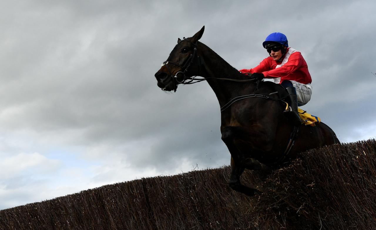 Can anyone stop allaho in the ryanair chase