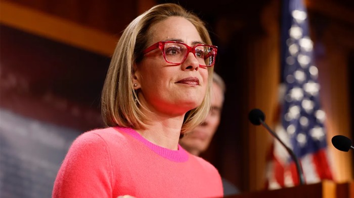 With climate deal in sight democrats turn hopes on sinema