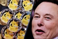 Crypto investor sues elon musk for 258 billion alleging dogecoin pyramid scheme