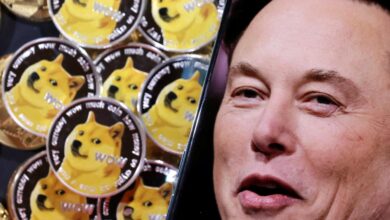 Crypto investor sues elon musk for 258 billion alleging dogecoin pyramid scheme